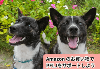 笑顔の2頭の犬